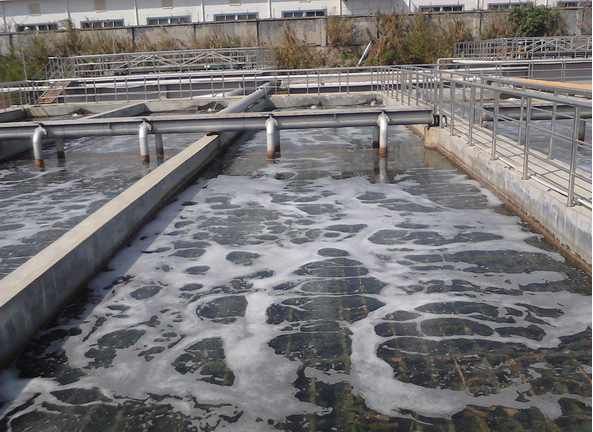 ��ˮ̎���̲��ݾ���������h(yu��n)չ�F(xi��n)��(y��u)�|(zh��)����(w��)