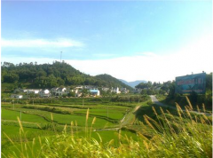 �h(hu��n)���a(ch��n)�I(y��)�S��C(j��)���� ������h(yu��n)�eŬ�����o(h��)���B(t��i)�h(hu��n)��