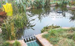 ������ˮ̎����ˇ���̽�B���D�ģ�