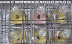 甲基橙模擬廢水吸附降解方法(圖文) 甲基橙模擬廢水吸附降解方法(圖文)