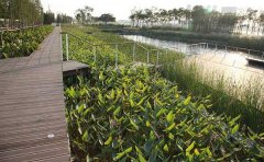 水平潛流人工濕地詳細介紹 水平潛流人工濕地詳細介紹