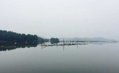 湘江水污染現狀及湘江水污染照片 湘江水污染現狀及湘江水污染照片