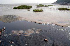 ������h(yu��n)׌�������B͸Һ�����ٿ���