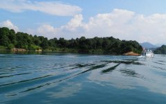 “綠色萬綠湖、尋源農夫山泉”讓久居都市的市民感受優質水源的魅 “綠色萬綠湖、尋源農夫山泉”讓久居都市的市民感受優質水源的魅