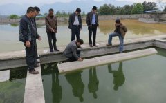 廣東省5家工廠抽查污水排放標(biāo)準(zhǔn) 廣東省5家工廠抽查污水排放標(biāo)準(zhǔn)