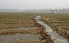 �r����ˮ̎��S����׌���շ��ĝ����r��