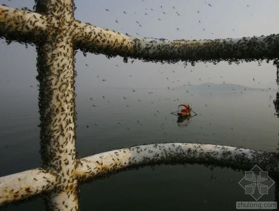 �Ї�ˮ��Ⱦ���}�܇��� �������ο��ׂ�����